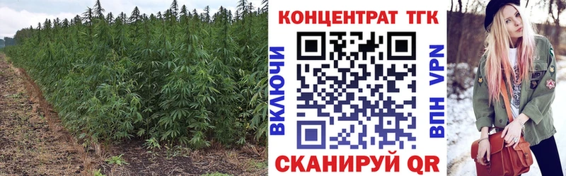 ТГК Wax  Коряжма 